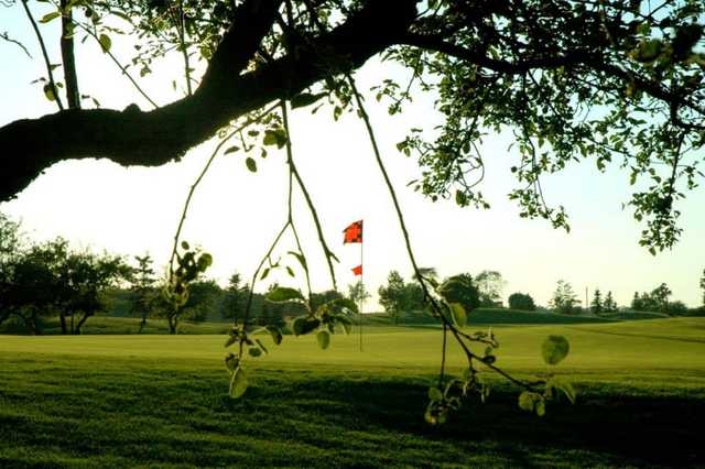 A view of a green at Red from Banty's Roost Golf and Country Club