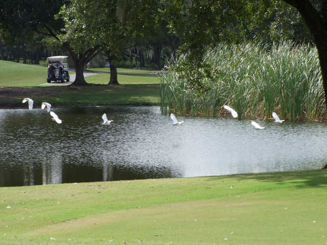 A view from Tatum Ridge Golf Links