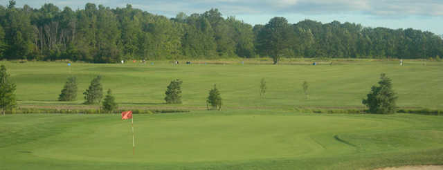 View of green at Cardinal Lakes Golf Club