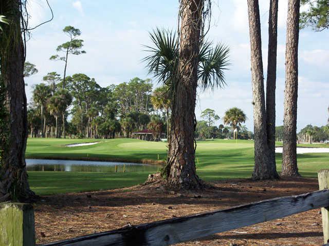 A view from Daytona Beach Golf & Country Club