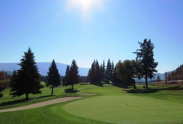 A view of a green at Shuswap Lake Estates Golf Club