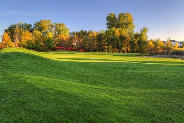 View of a green at Oak Marsh Golf Course