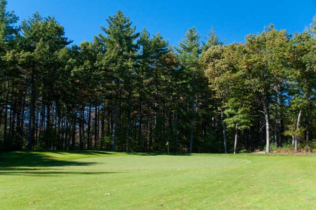 A view of green #4 at Swanson Meadows Golf Course.