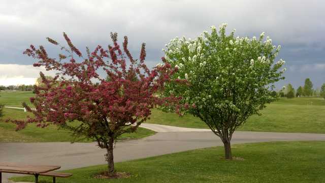 Peter Yegen Jr Golf Course Reviews Course Info GolfNow Peter Yegen Jr Golf Course Reviews Course Info GolfNow