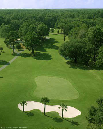 Dolphin Head GC: View from #12