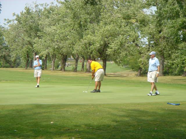 A view from Sheridan Park Golf Course