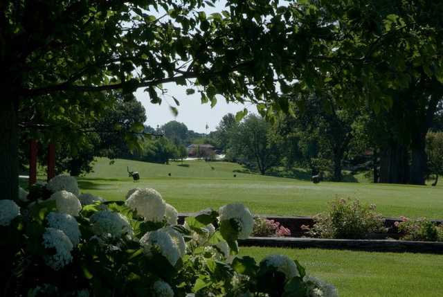 A view of a tee at Timber Creek