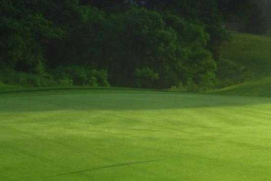 Neumann Golf Course Details and Reviews TeeOff Neumann Golf Course Details and Reviews TeeOff