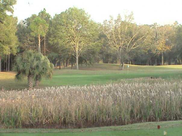 A view from a tee at Wildwood Country Club