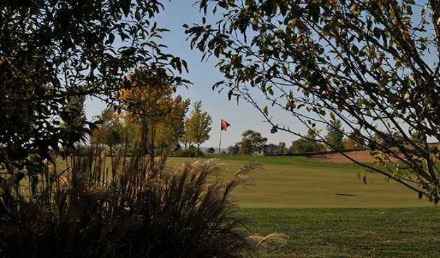A view of a green at The Bluffs Golf Course.