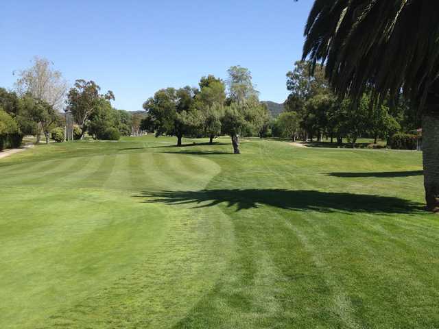 A sunny day view from Los Robles Greens Golf Course