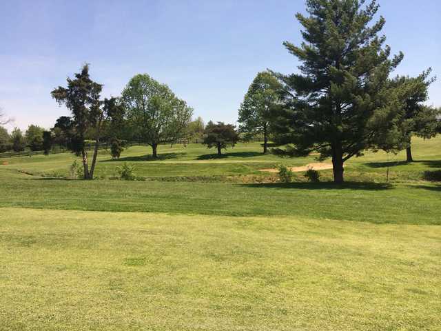 A view of a green at The Woodford Club.