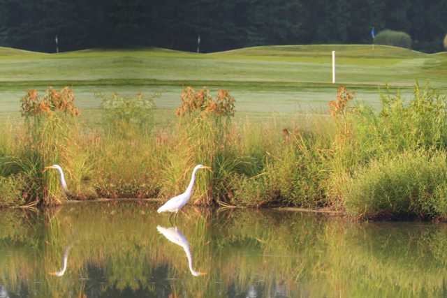 A view over the water from Great Hope Golf Course