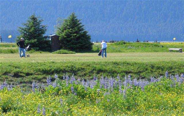 A view from Mendenhall Golf Course