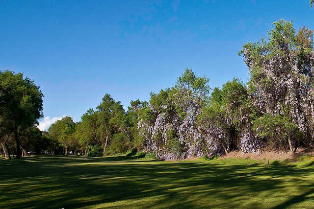 A view of fairway #8 at Sherwood Forest Golf Club