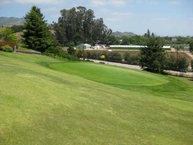 A view of a green at Casserly Golf Course