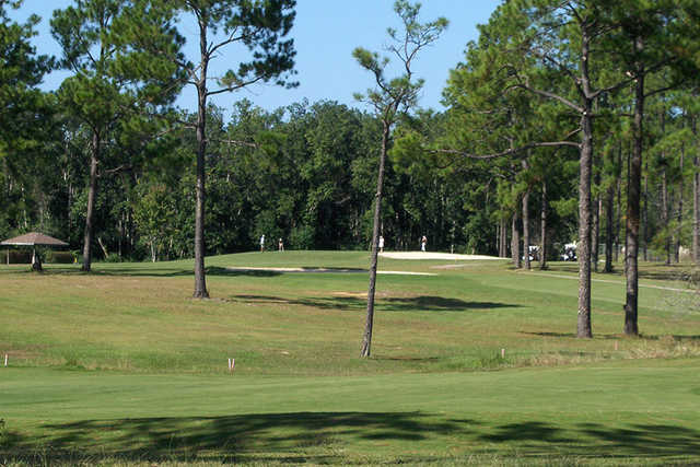 A sunny day view from Cypress Lakes Golf Club