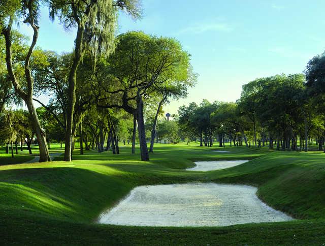 Brackenridge Park GC: Sandtrap