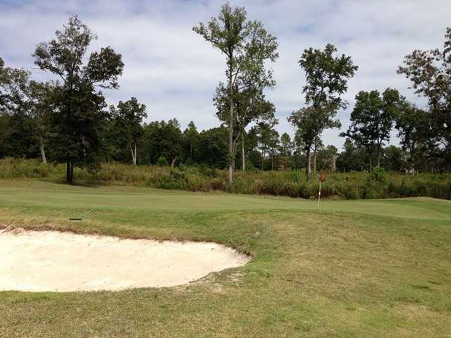 A view of a green protected by a bunker at Indian River Golf Club
