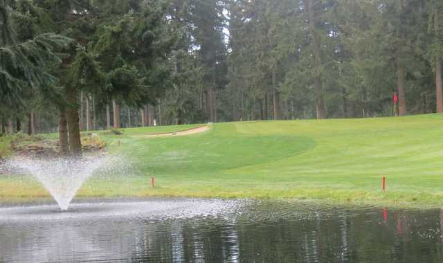 A view over the water from Lipoma Firs Golf Course