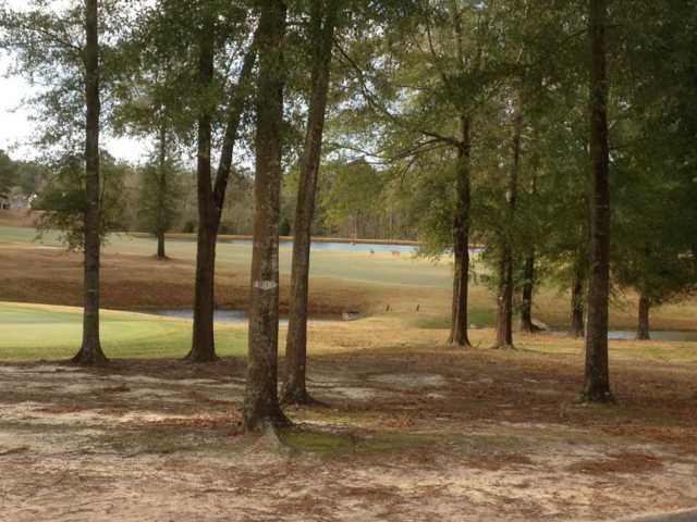 A view from The Bridges at Tartan Pines.