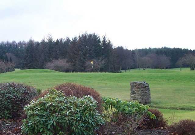 A view of a green at Downfield Golf Club