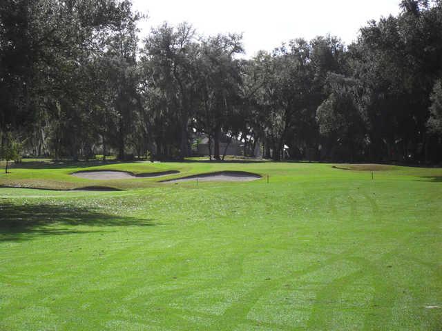 A view of a green surrounded by bunkers at Country Club of Sebring