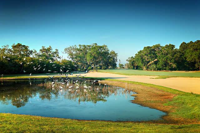 Bulls Bay Golf Club - Reviews & Course Info | TeeOff