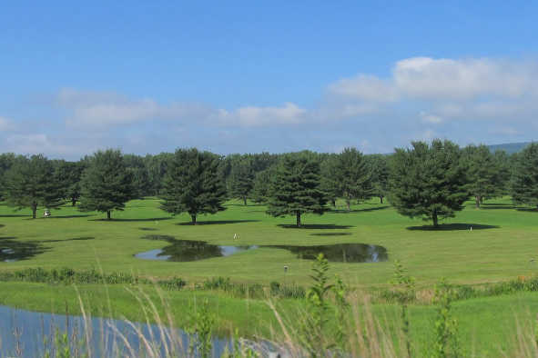 A view of a green with water coming into play at Meadows Golf Course