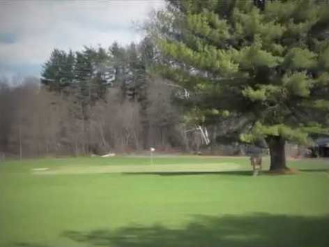 A view of a hole at Meadows Golf Course