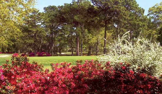 Sunkist Country Club in Biloxi, MS