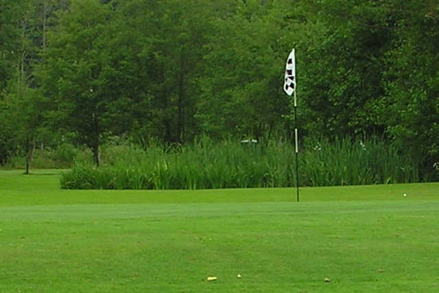 A view of a hole at Mount Douglas Golf Course