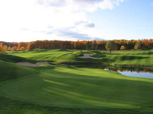 Black Bear Golf Club - MI Details and Reviews | TeeOff