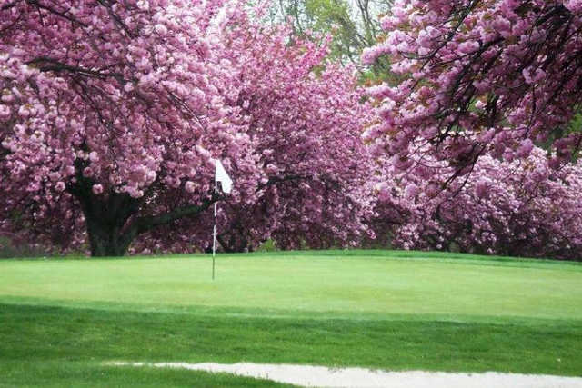 A spring view of a hole at Mountain View Golf Course