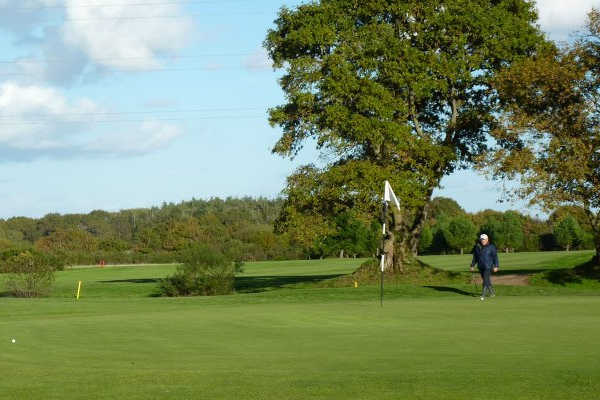 A view from Guerande Golf Club