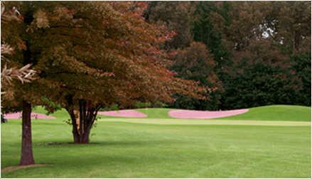 A view of a green at Beaujolais Golf Club