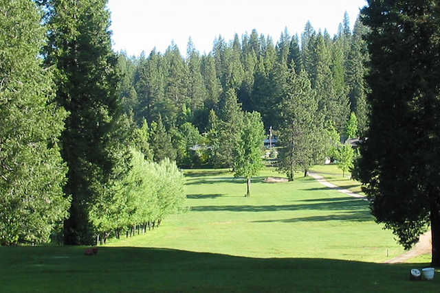 A view from a tee at Mace Meadow Golf & Country Club