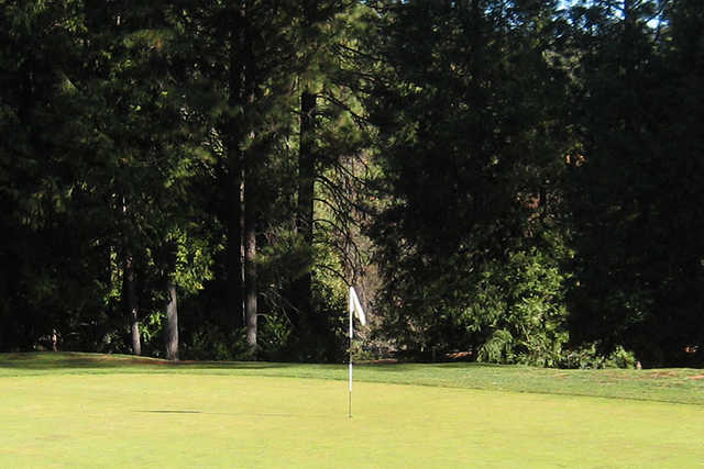 A view of a hole at Mace Meadow Golf & Country Club