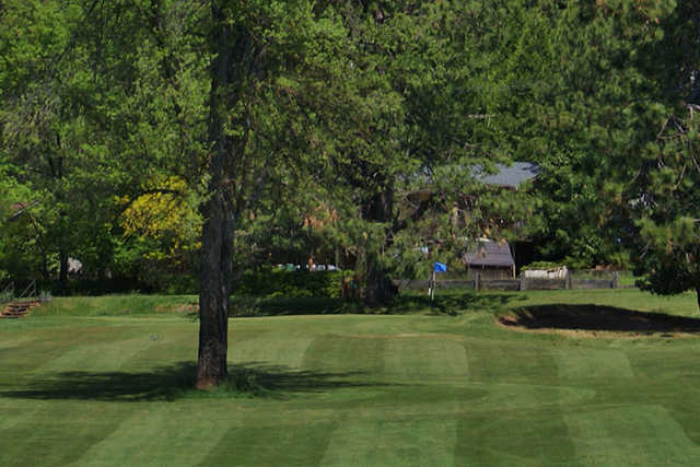 A view from Mace Meadow Golf & Country Club