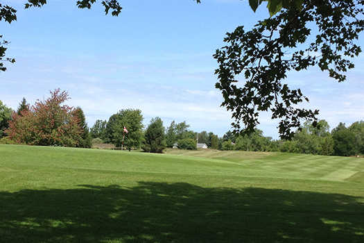 A view of a green at Lake LeAnn Golf Course