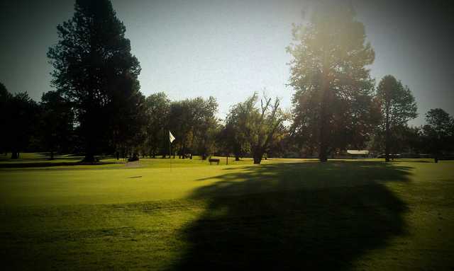 A sunny view of a green at Meadowlawn Golf Club