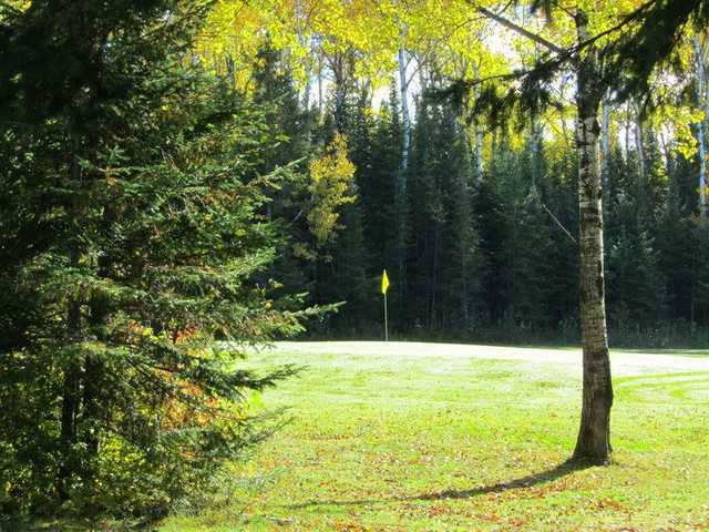 A sunny day view of a green at Poplar Golf Course