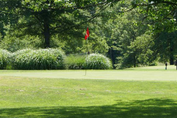 A view of a hole at Quail Creek Country Club & Resort.