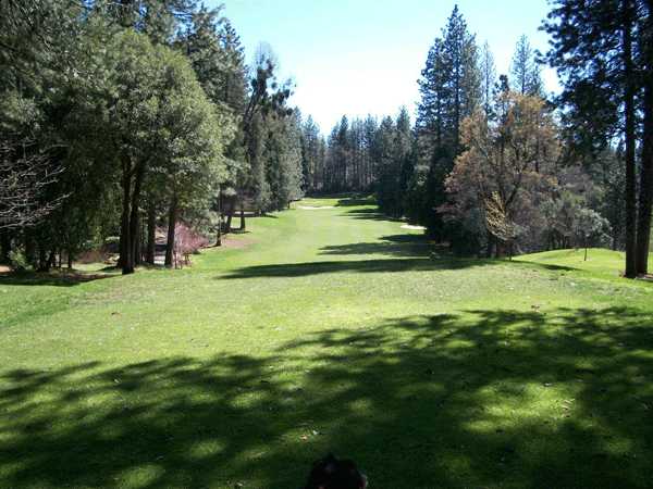 A view of a fairway at Forest Meadows Golf Course