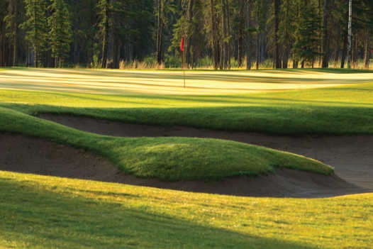 Coyote Creek Golf & RV Resort - Reviews & Course Info | GolfNow