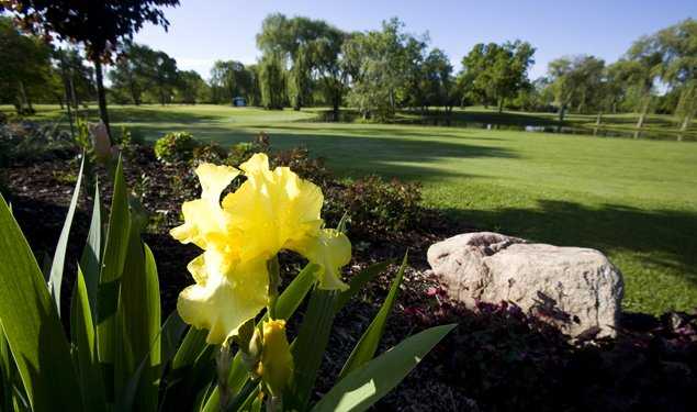 A flowerish view from Bristol Oaks Golf Club and Banquet Center