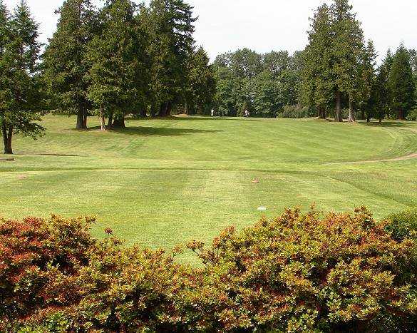 A view of a tee at Burnaby Mountain Golf Course