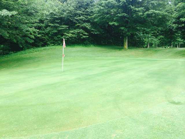 A view of a hole at Farm Golf Club