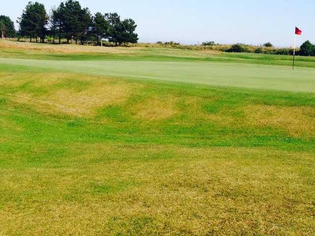 A view of hole #17 at Medal Course from Monifieth Golf Links