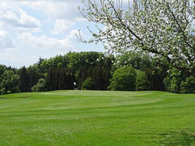 A view of a green at Oberrot-Frankenberg Golf Club